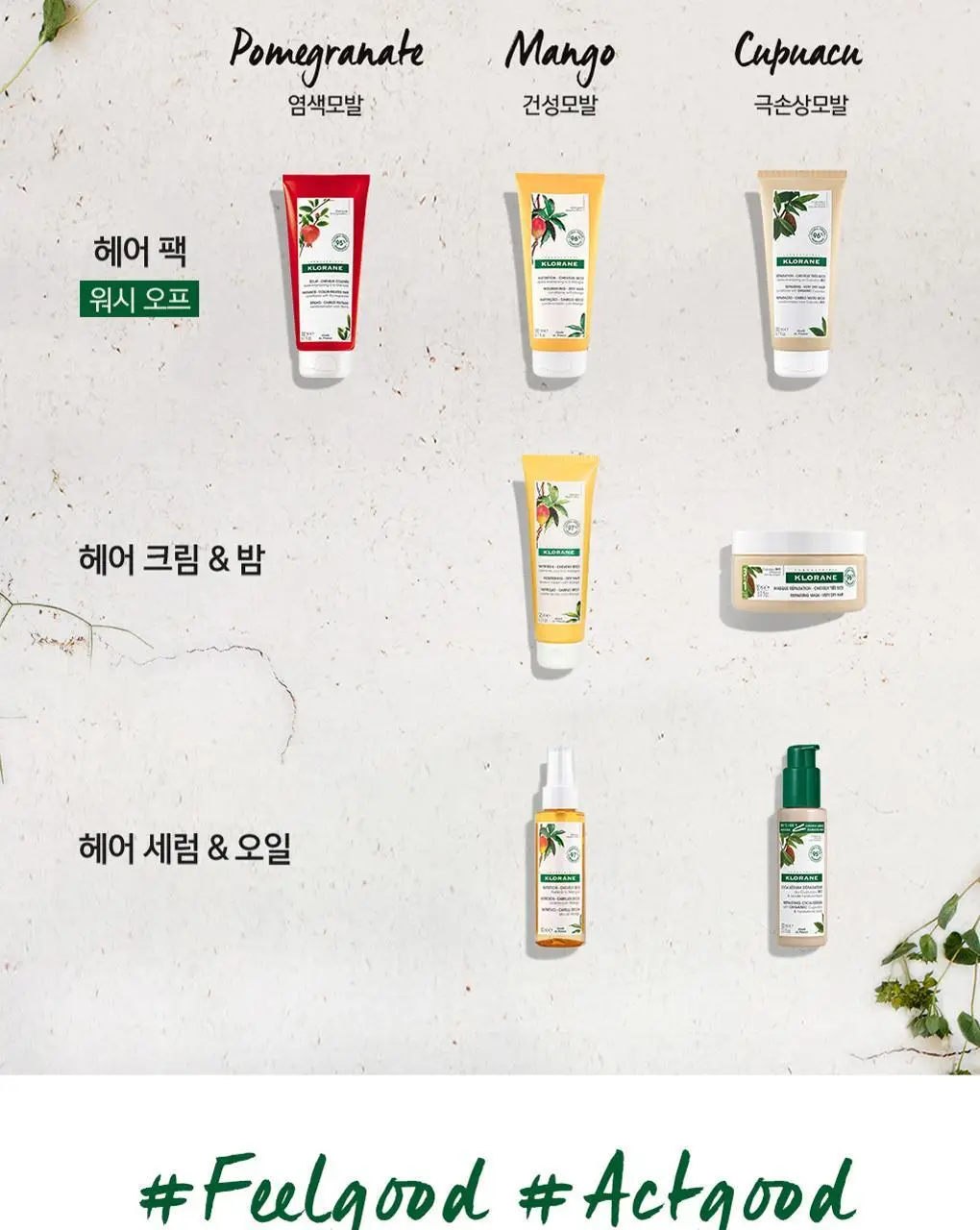 [지성두피 & 피지 제거] 클로란 네틀 노세범 드라이 샴푸 50ml 상세페이지 26